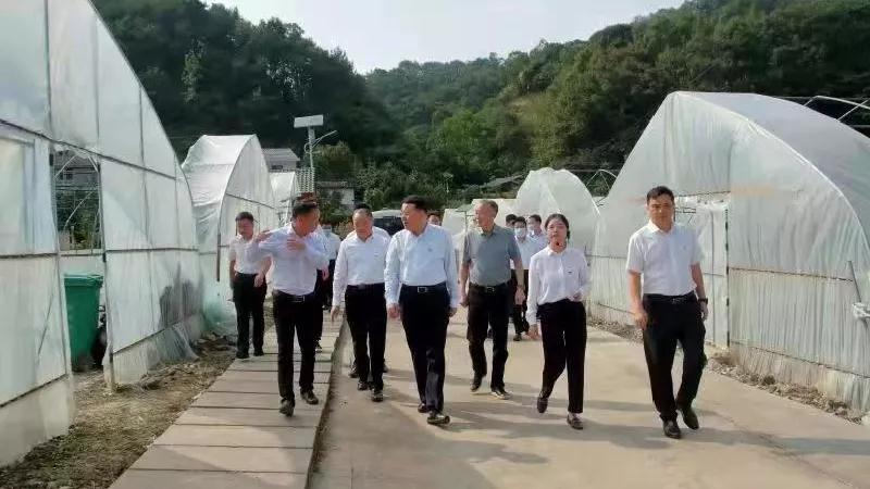 1631874709468054225.jpg 1631874709468054225.jpg