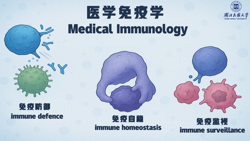 一颗糖丸到一支疫苗：科技自立的时代答卷与抗原认知的思政启航
